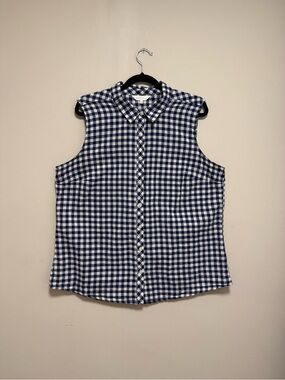 Northern Reflections Gingham Sleeveless Button-Down